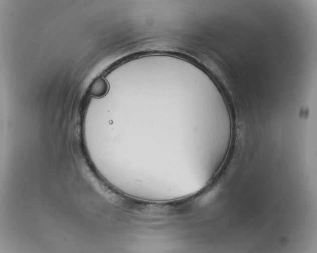 X0000111900981200908171235