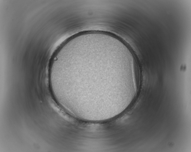 X0000111900982200908171235