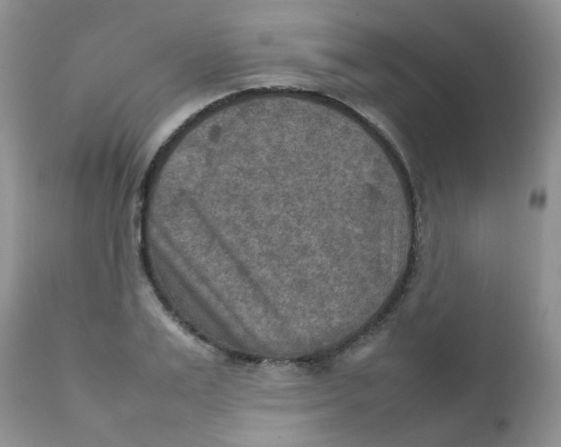 X0000111900983200908171235