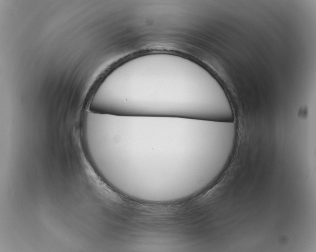 X0000111900984200908171234