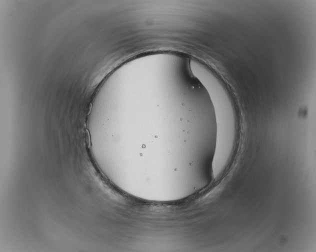 X0000111900985200908171234