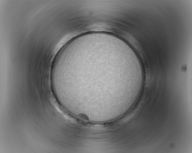 X0000111900986200908171234