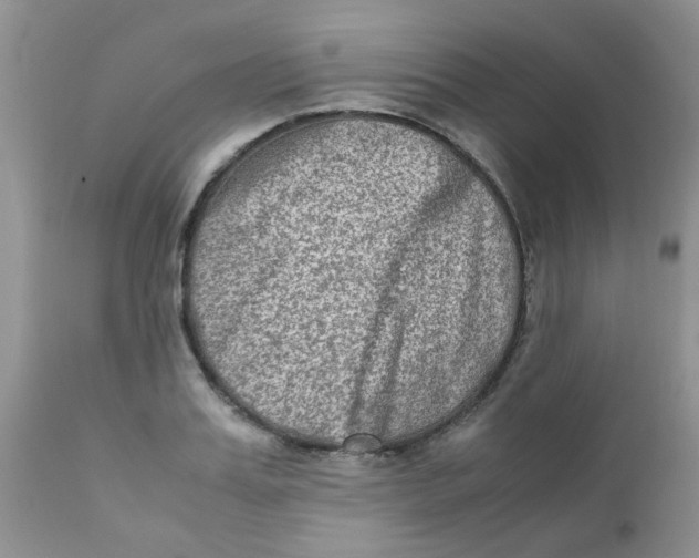 X0000111900987200908171234