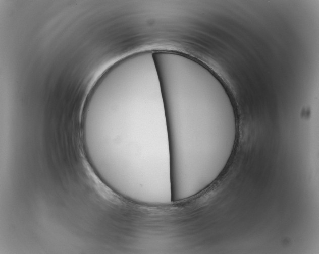 X0000111900988200908171234