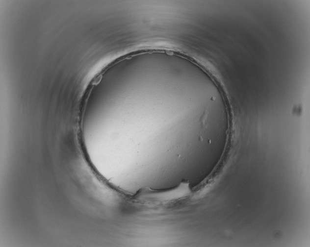 X0000111900989200908171234