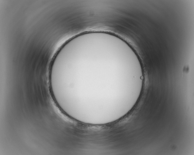 X0000111900990200908171234