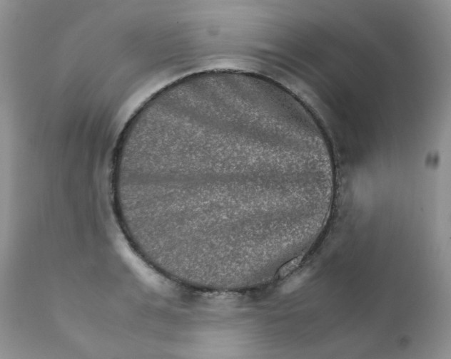 X0000111900991200908171234