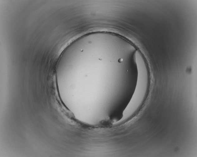 X0000111900993200908171234