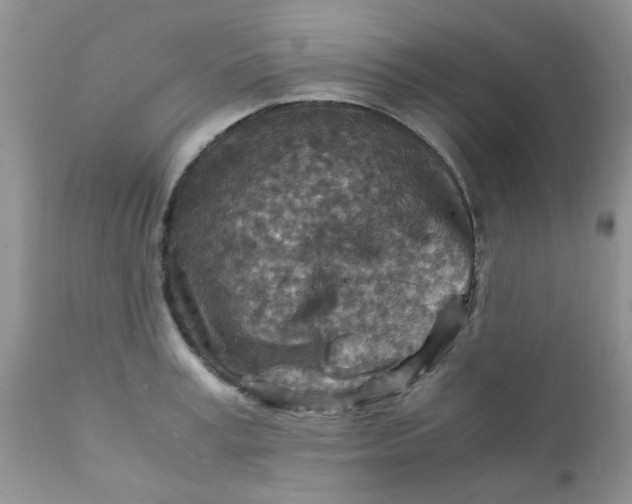 X0000111900995200908171234