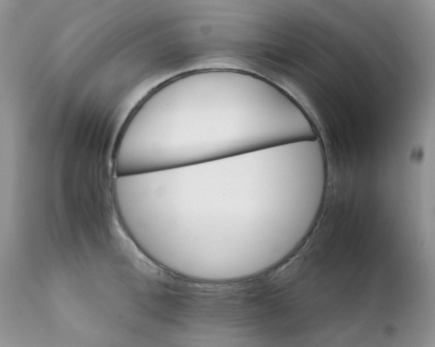 X0000111900996200908171234