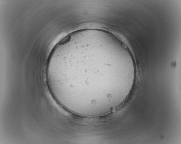 X0000111900997200908171234