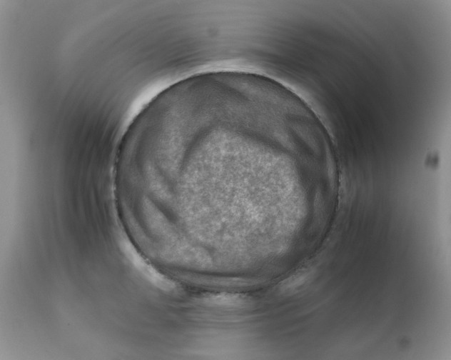 X0000111900998200908171234