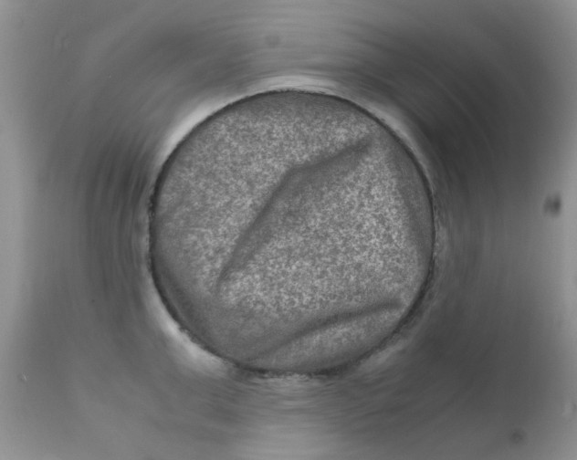 X0000111900999200908171234