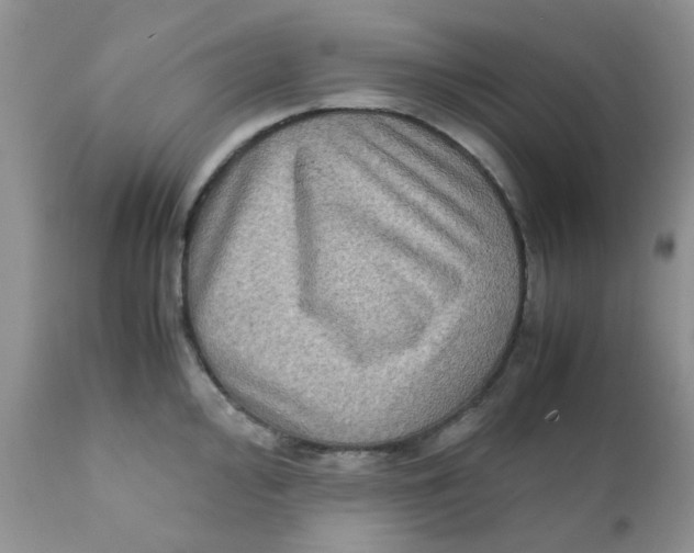 X0000111901000200908171234