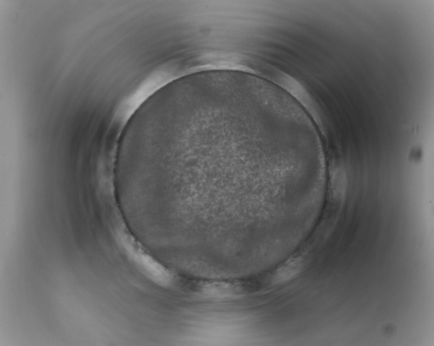 X0000111901002200908171234