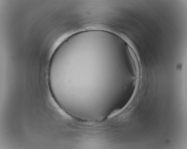 X0000111901005200908171234