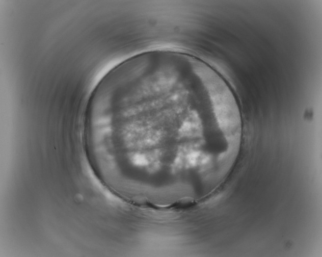 X0000111901007200908171234