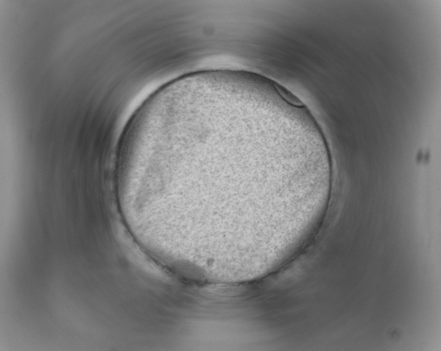 X0000111901008200908171234