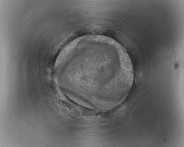 X0000111901010200908171233