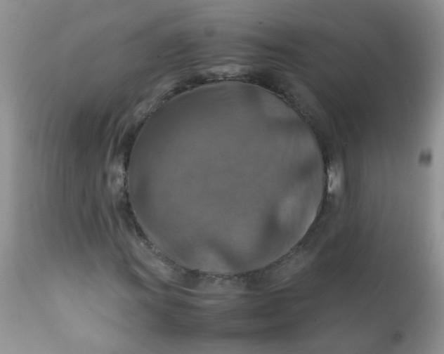 X0000111901011200908171233