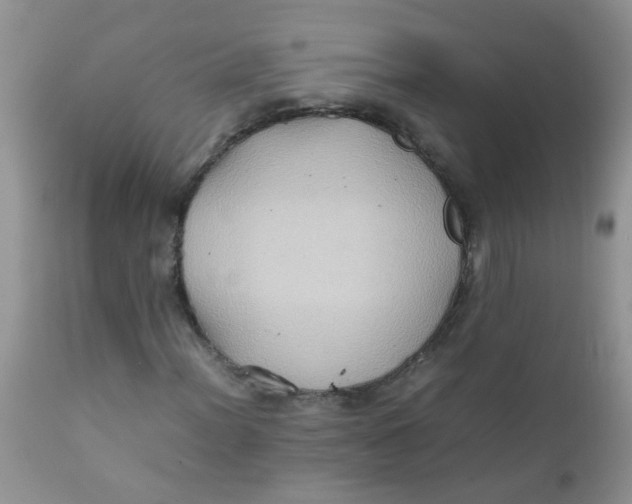 X0000111901012200908171233