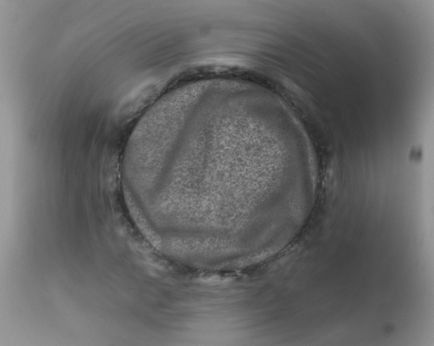 X0000111901014200908171233