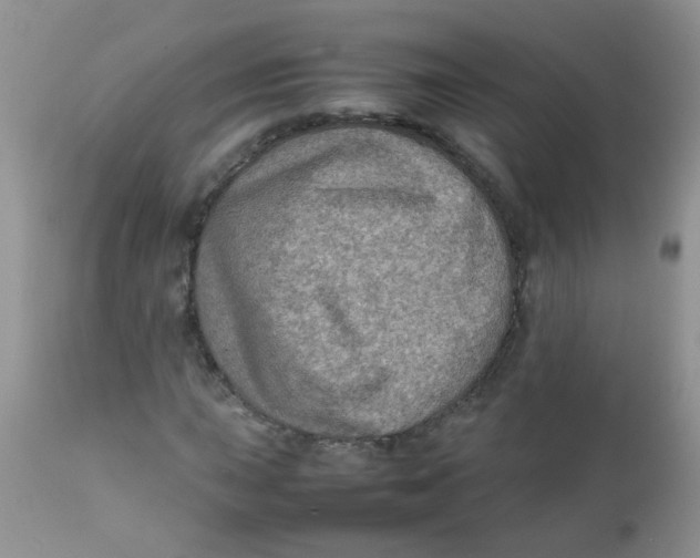 X0000111901015200908171233