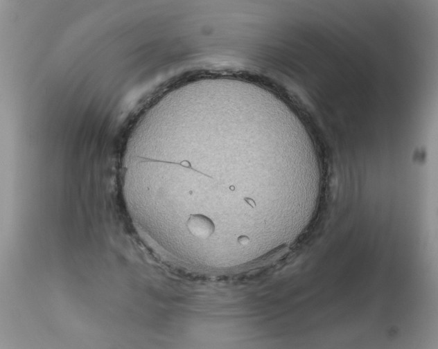 X0000111901016200908171233