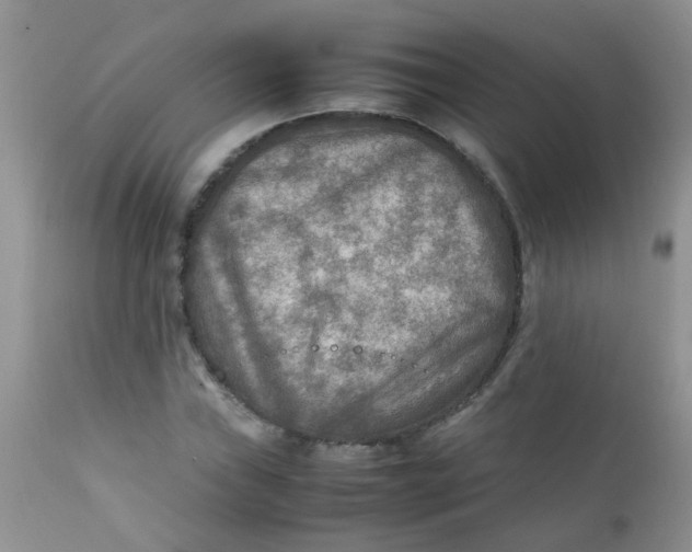 X0000111901019200908171233