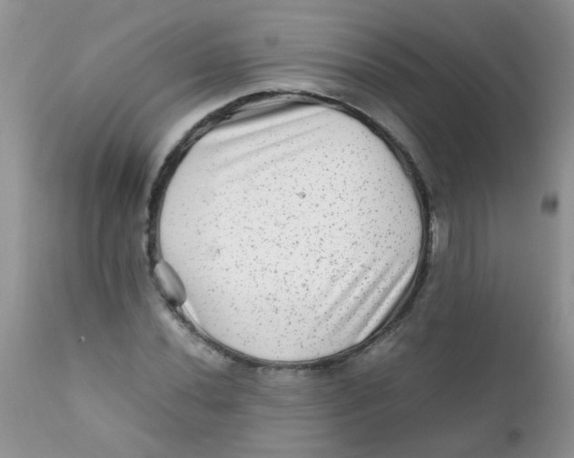 X0000111901020200908171233