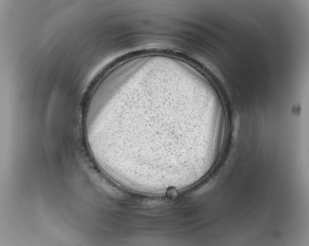 X0000111901021200908171234