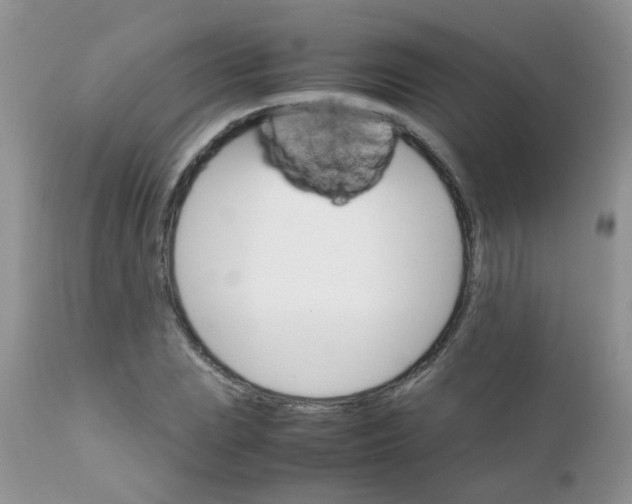 X0000111901023200908171234