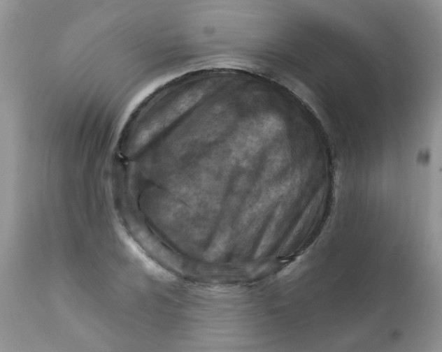 X0000111901024200908171234