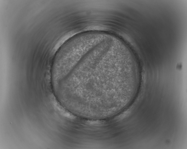 X0000111901025200908171234