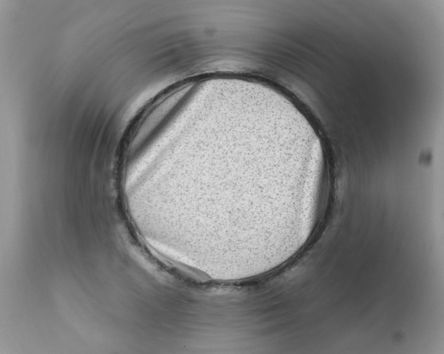 X0000111901026200908171234