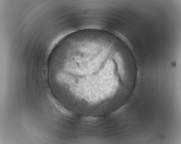 X0000111901027200908171234