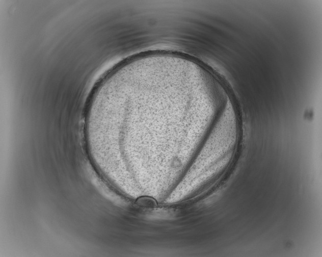 X0000111901029200908171234