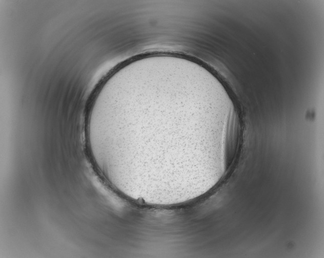 X0000111901030200908171234