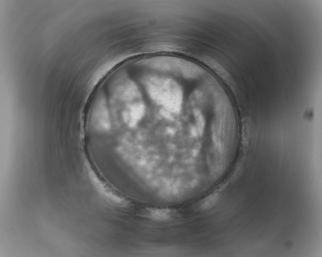 X0000111901031200908171234