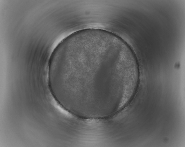 X0000111901032200908171234