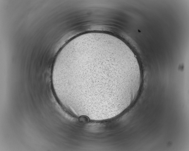 X0000111901033200908171234