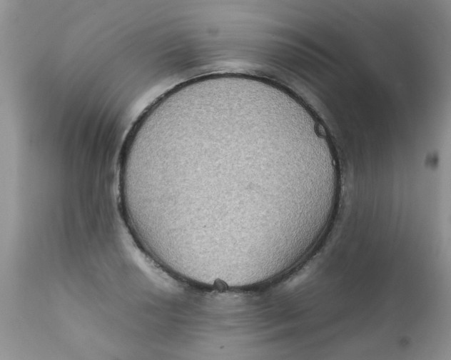 X0000111901034200908171234