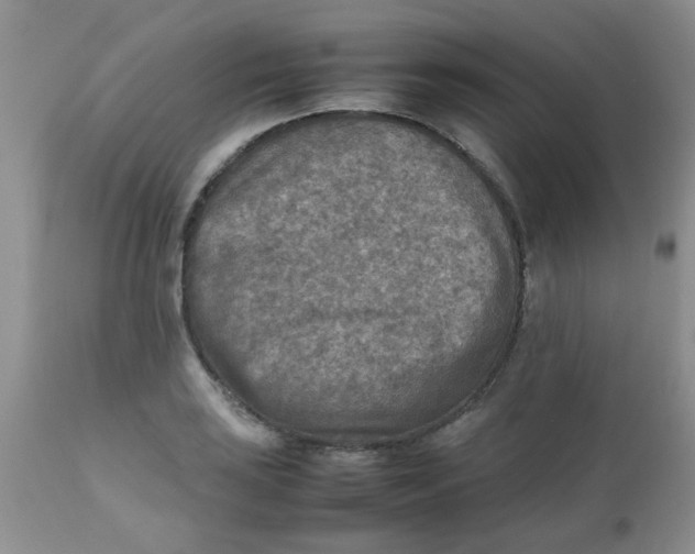 X0000111901035200908171234