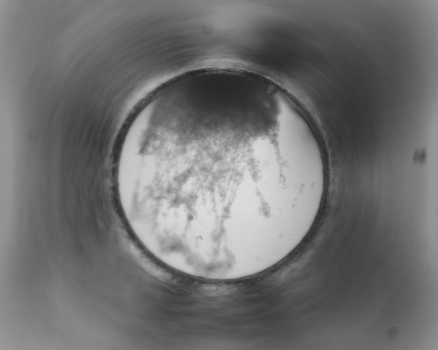 X0000111901037200908171234