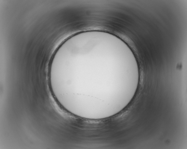 X0000111901039200908171234