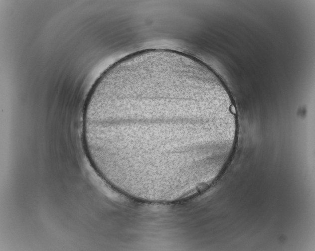 X0000111901040200908171234