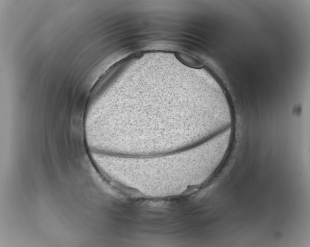 X0000111901041200908171234