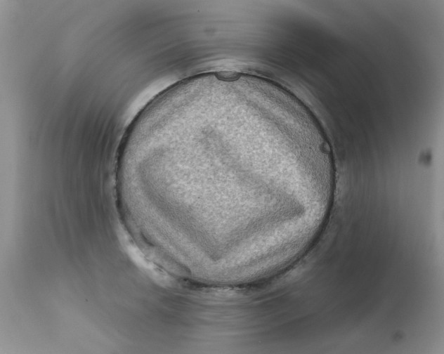 X0000111901042200908171234