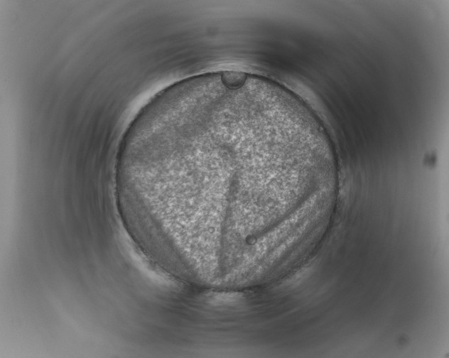 X0000111901043200908171234