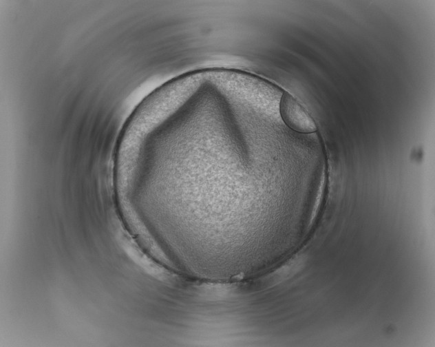 X0000111901044200908171234